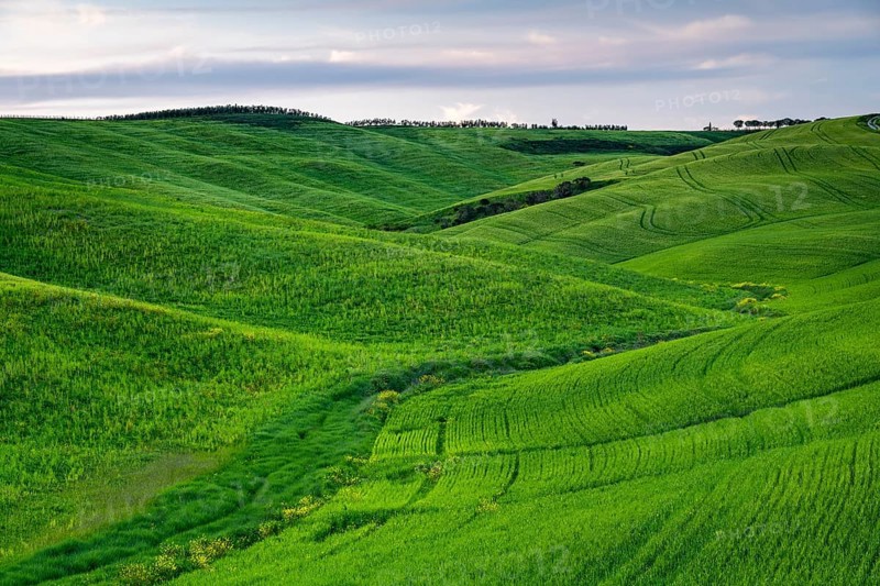 Hilly fields near San Quirico d'Orcia