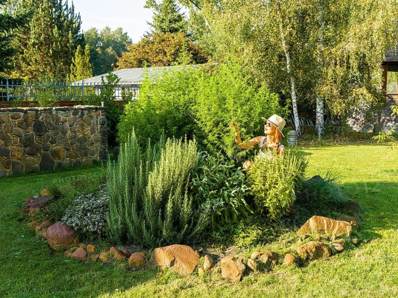 Woman in herb bed