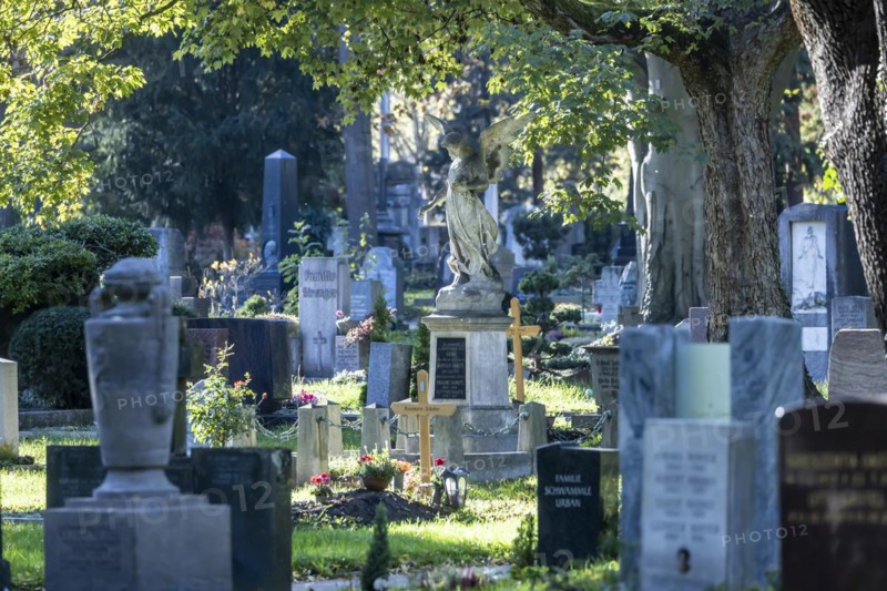 Prague Cemetery Stuttgart in autumn