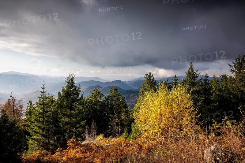 Autumn view from the Buchkopf