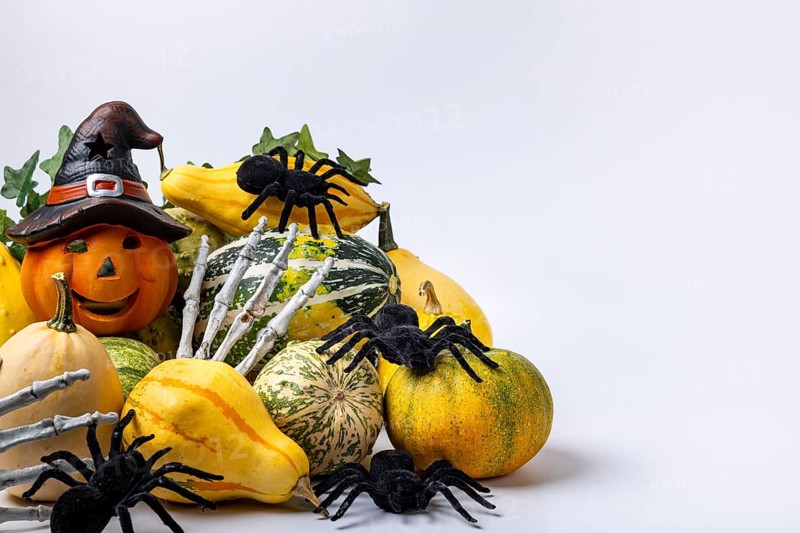 Various decorative pumpkins with ivy vine