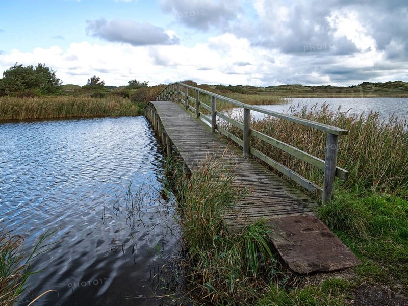 Small bridge over the lake
