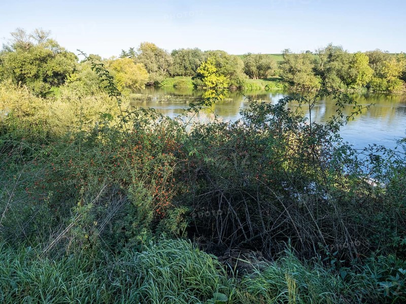 River Main