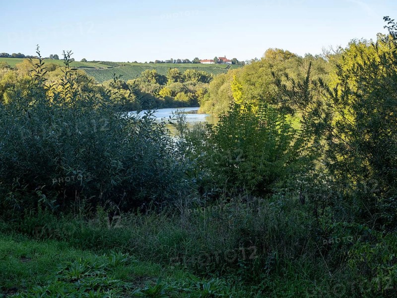 Volkach Main Loop
