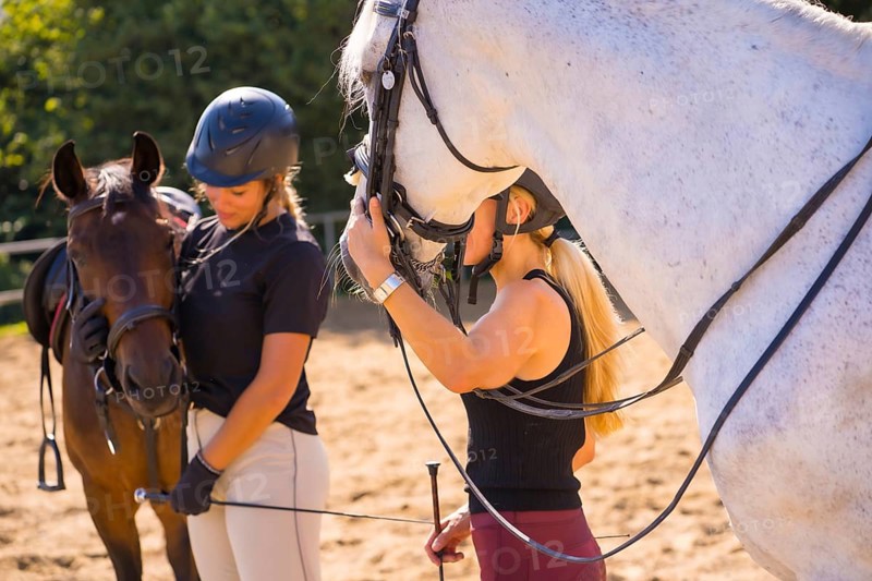 Two young Caucasian girl riders with their white and brown horses on a horse riding