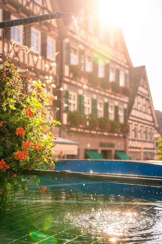 Fountains and half-timbered houses in the sunlight