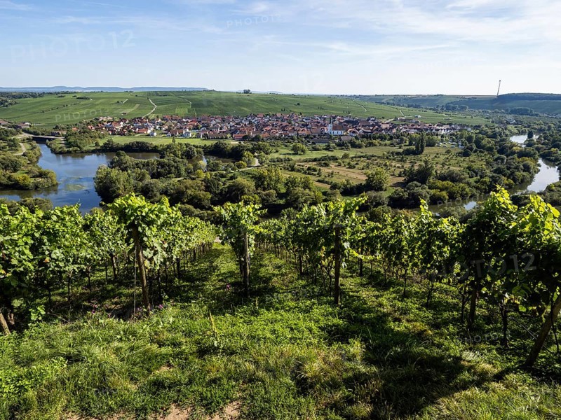 View from Vogelsburg Castle on the Main Loop