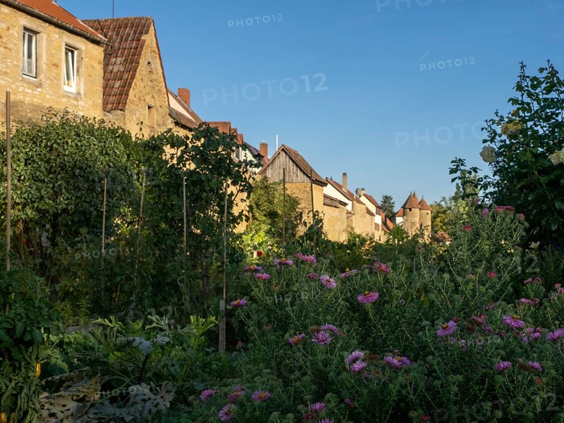 Part of the old town wall and towers