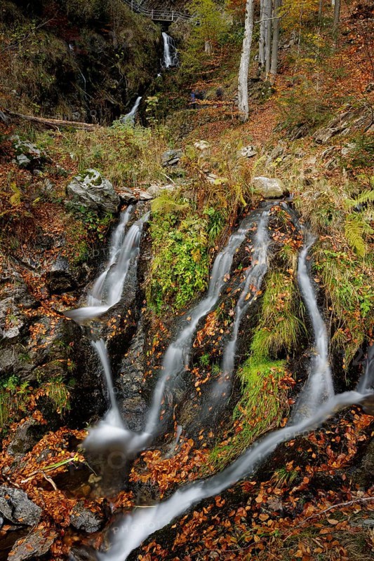 Mountain stream and waterfall in autumn forest