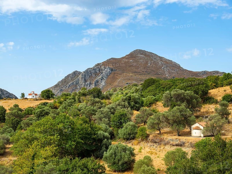 Two chapels in the olive grove