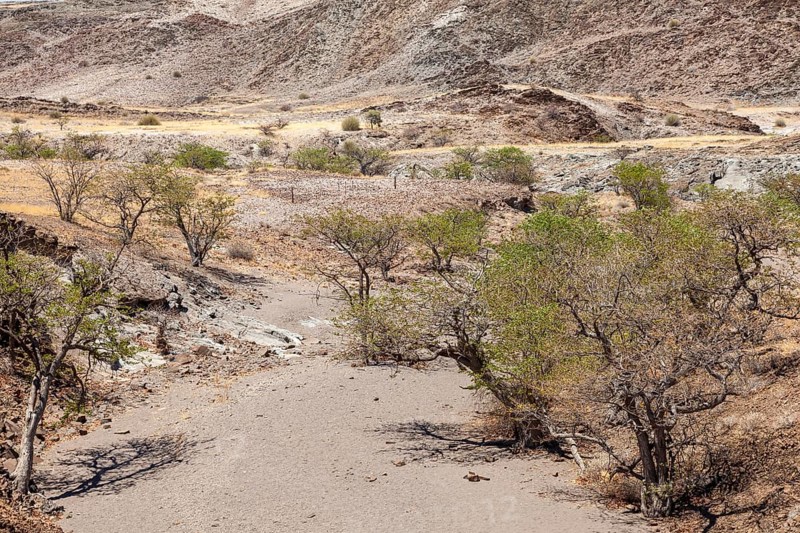 Landscape near the Organ Pipes