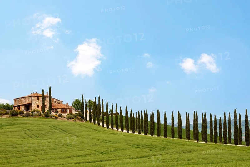 Country estate and cypress avenue