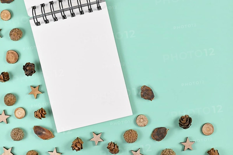Empty notebook surrounded by seasonal decoration like wood slices and cones and Christmas star ornaments on mint green background