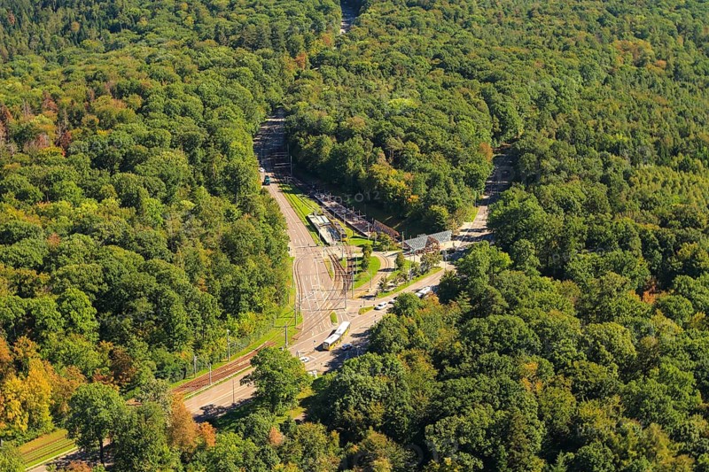 Forest with intersection of Mittlere Filderstrasse and Kirchheimer Strasse