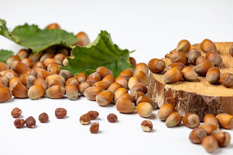 Hazelnuts in and without shell and hazelnut bush leaves