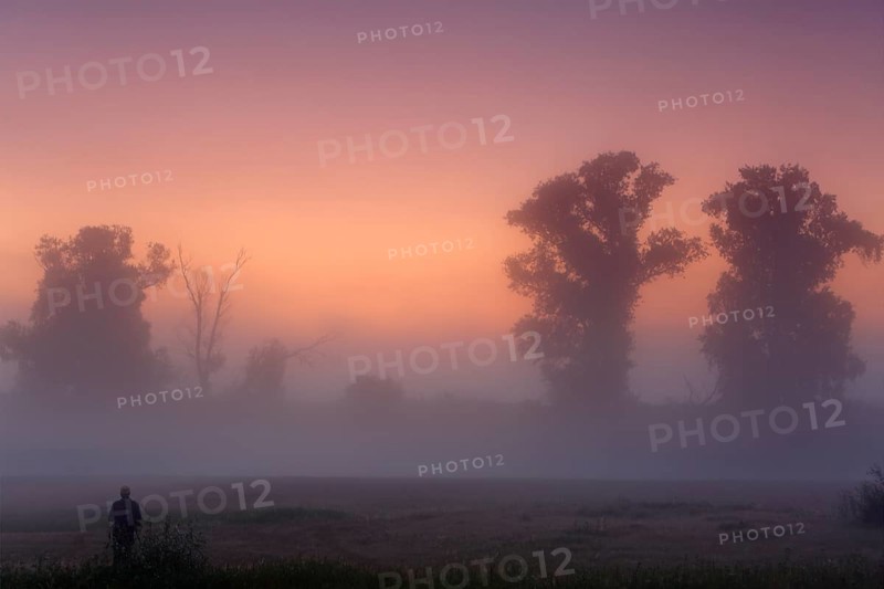 Autumnal foggy atmosphere in the morning in front of sunrise at an oxbow lake in the floodplain forest