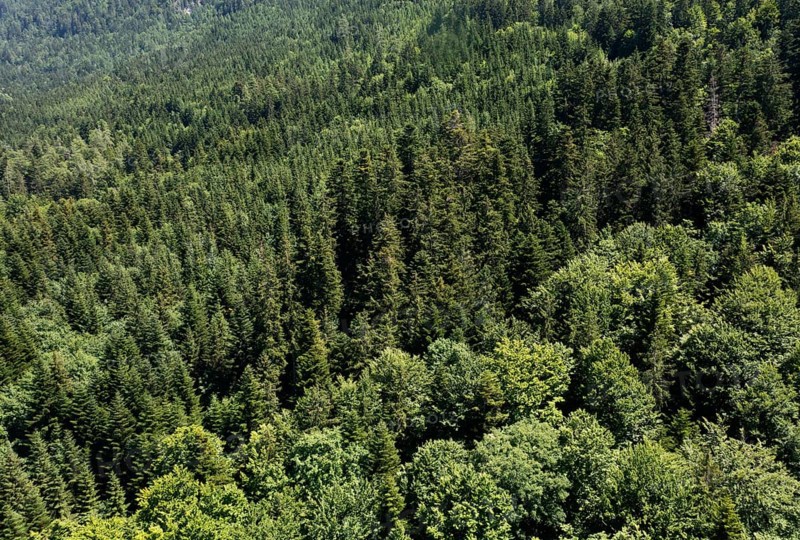 Drone shot
