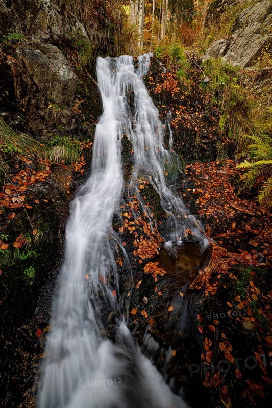 Mountain stream and waterfall in autumn forest