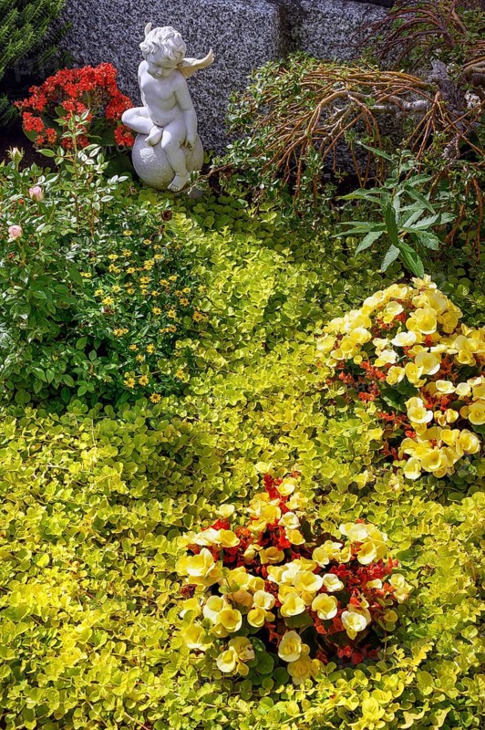 Gravestone with begonias