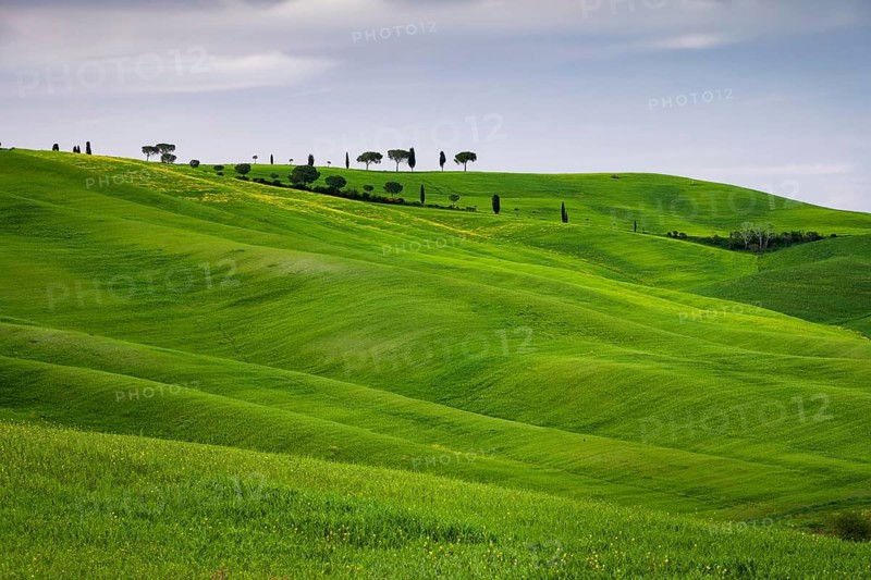 Hilly fields near San Quirico d'Orcia