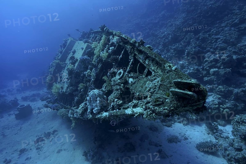 Wreck of sailboat overgrown with corals