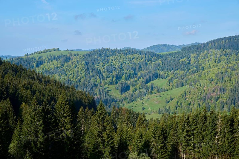 Low mountain landscape