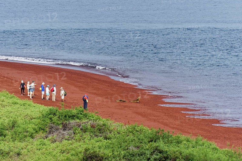 Tourists and Galapagos sea lions