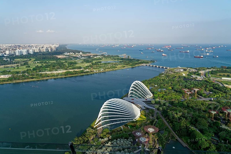 View of the harbour and Gardens by the Bay