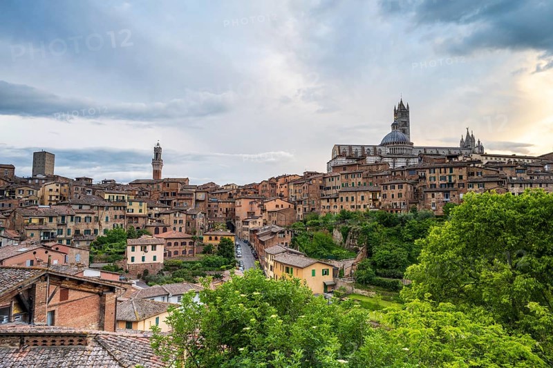 City view of Siena