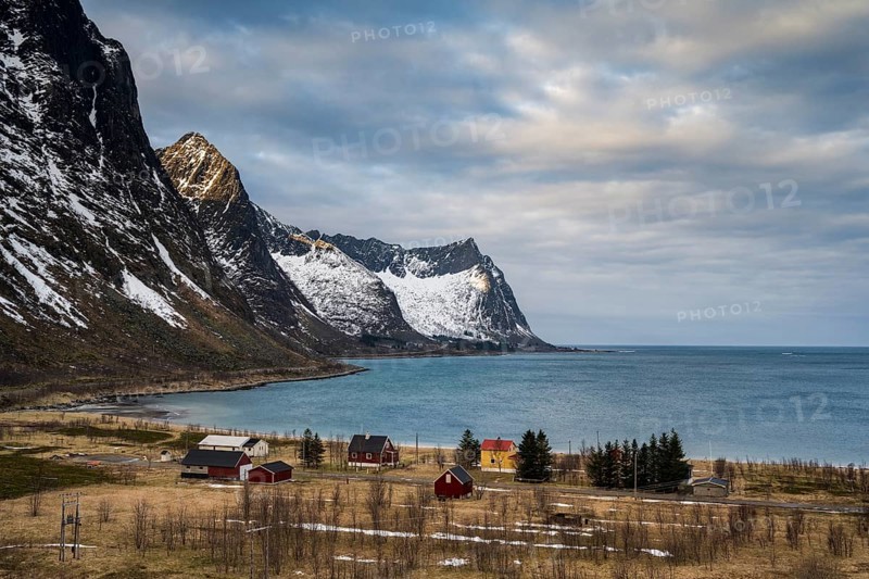 Houses by the fjord