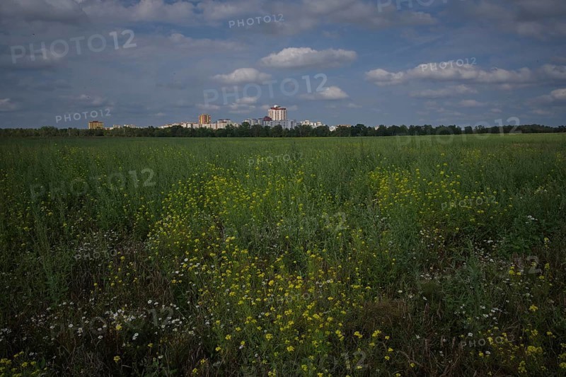 View across a pastureland to residential buildings on the outskirts of the town