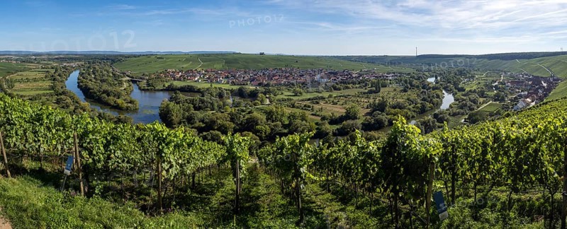 View from Vogelsburg Castle on the Main Loop