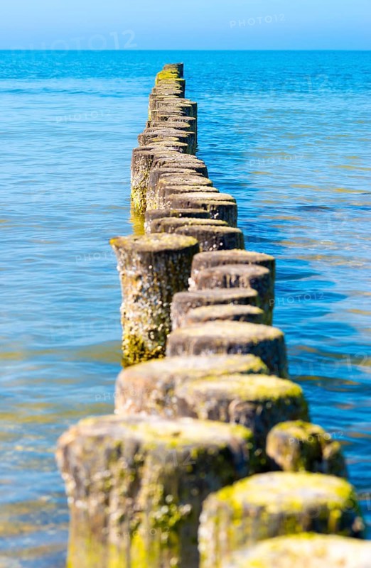 Groynes made of logs protect the beach of Hiddensee Island from erosion and project far into the water