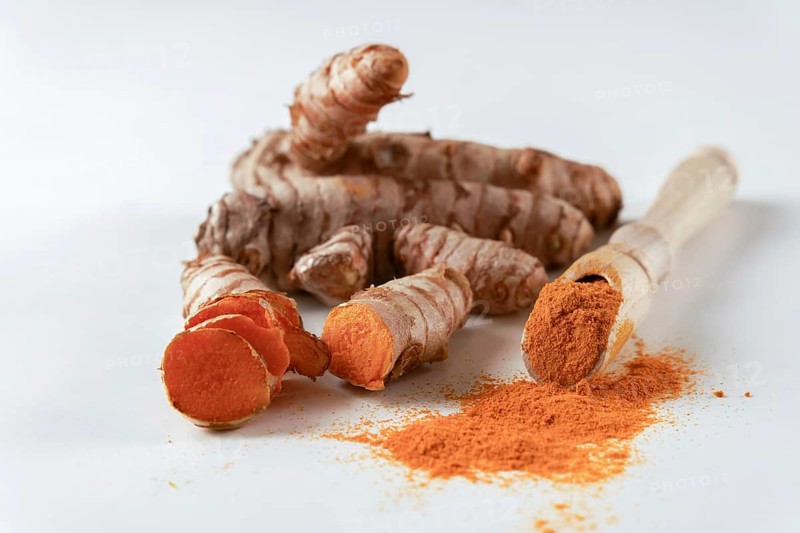 Fresh turmeric root and ground turmeric on a wooden spoon isolated on white background and copy space