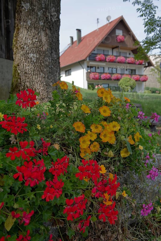 Early autumn in Grosserlach