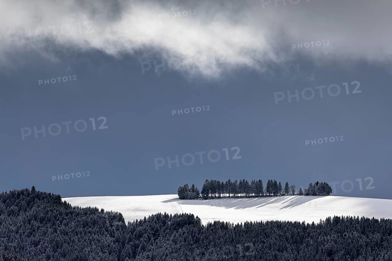 Fresh snow in November with a wonderful view of the Black Forest in a cloudy atmosphere