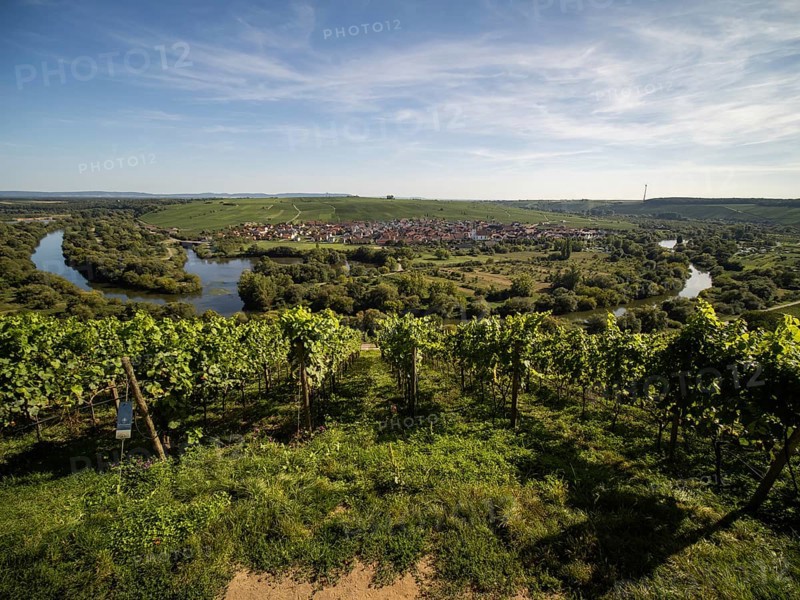 View from Vogelsburg Castle on the Main Loop