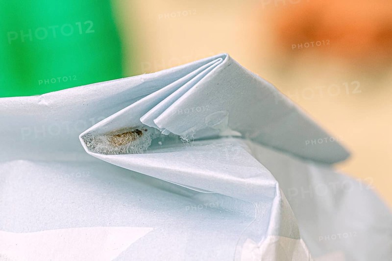 A food moth sticks to the inside of the fold of a food packaging in a moth cocoon