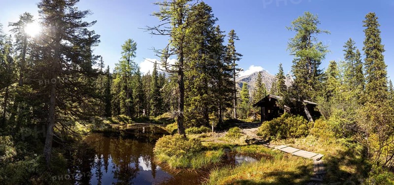 Moor pond on the nature adventure trail through the Rauris primeval forest