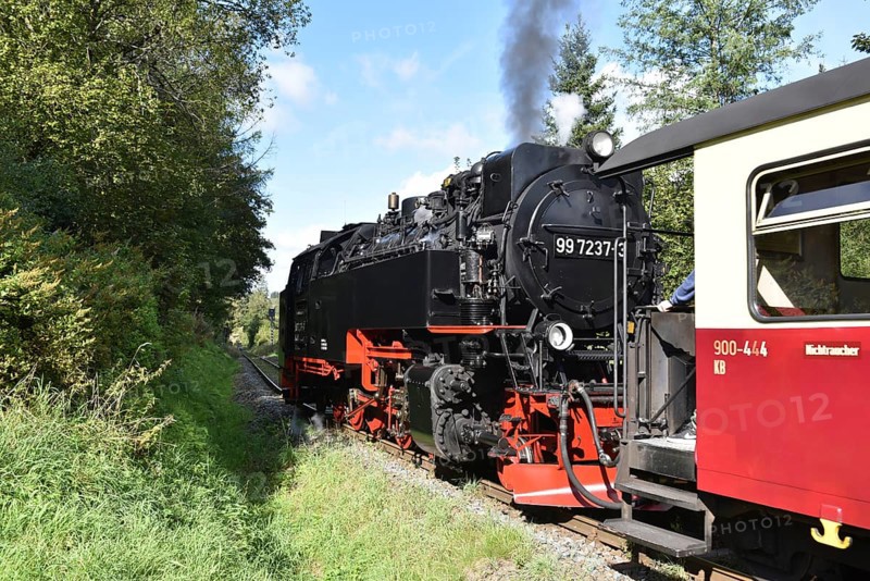 Harz narrow-gauge railway