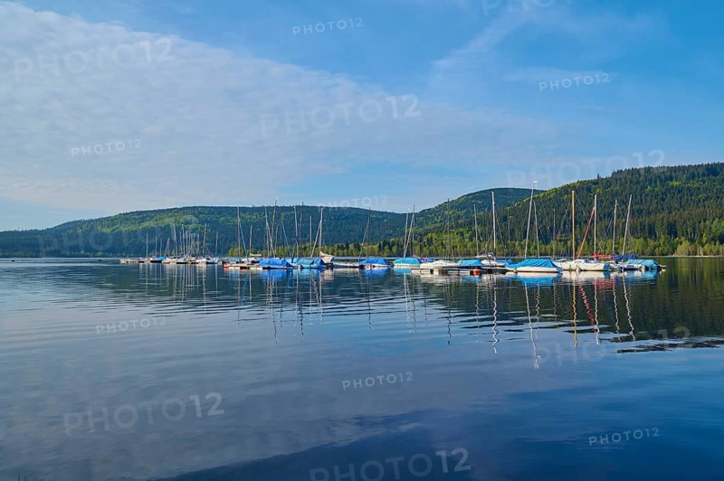 Sailboats