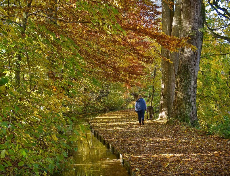 Krummbach autumn walk