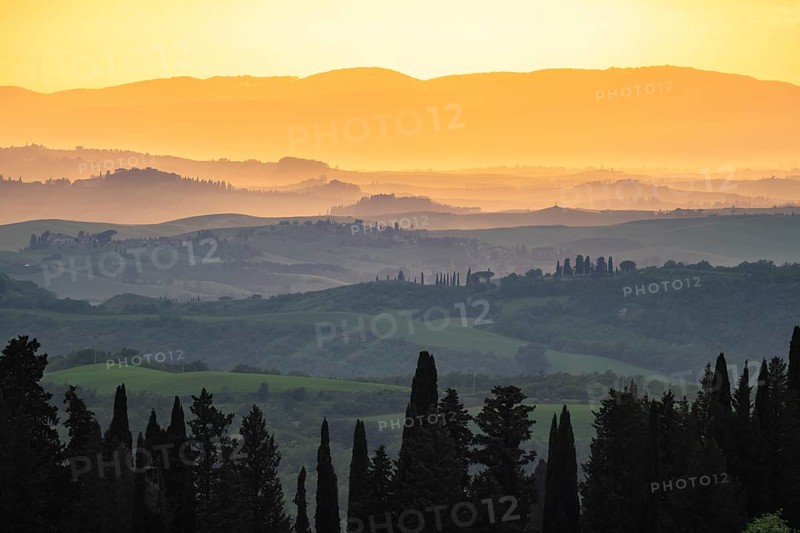Hilly landscape of the Crete Senesi in the evening light
