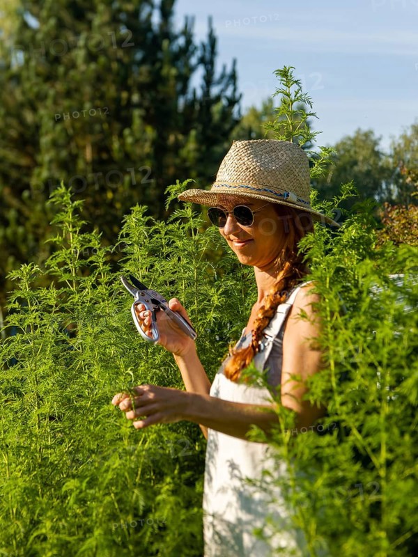 Woman in herb bed