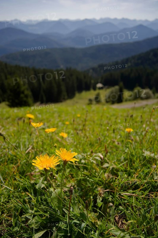 Hiking area Brauneck region