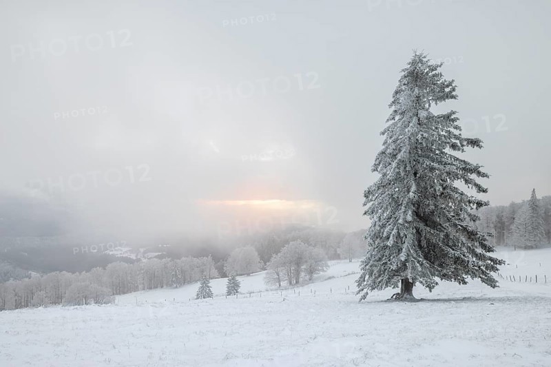 Winter sunset on the mountain with hoarfrost on the trees and fog