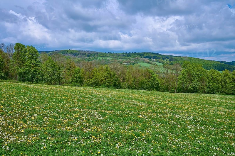 Low mountain landscape