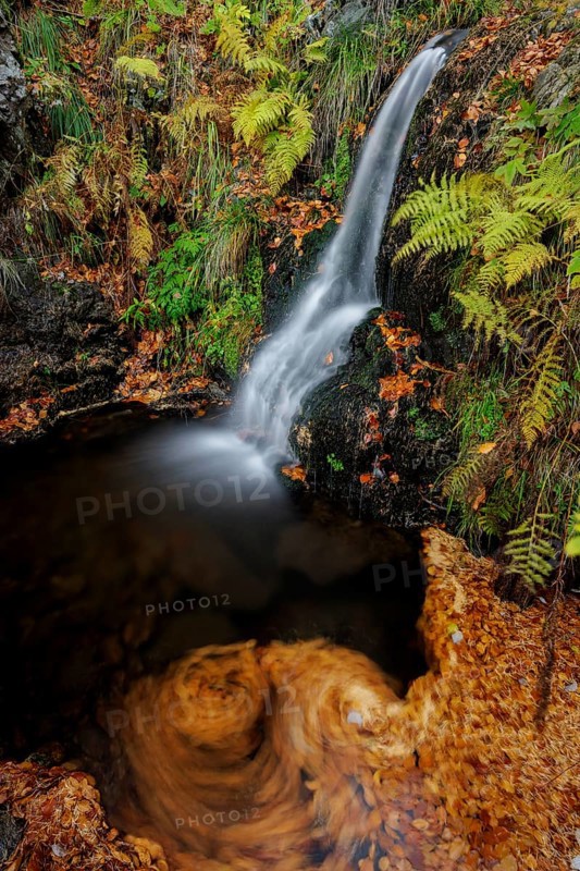 Mountain stream and waterfall in autumn forest