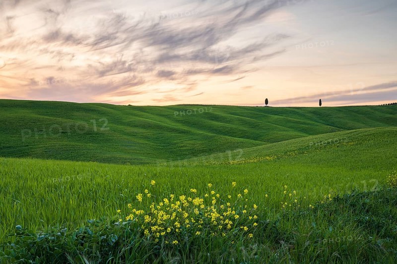 Hilly fields near San Quirico d'Orcia