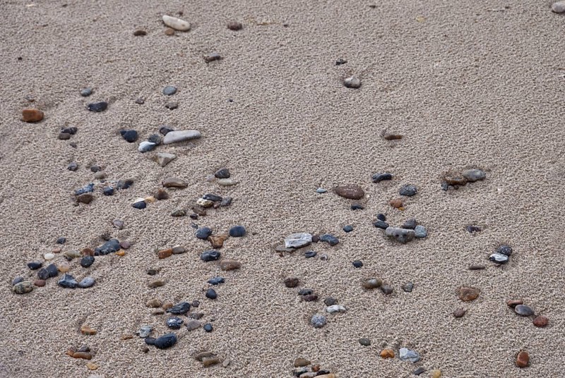 Stones in the sand on the beach